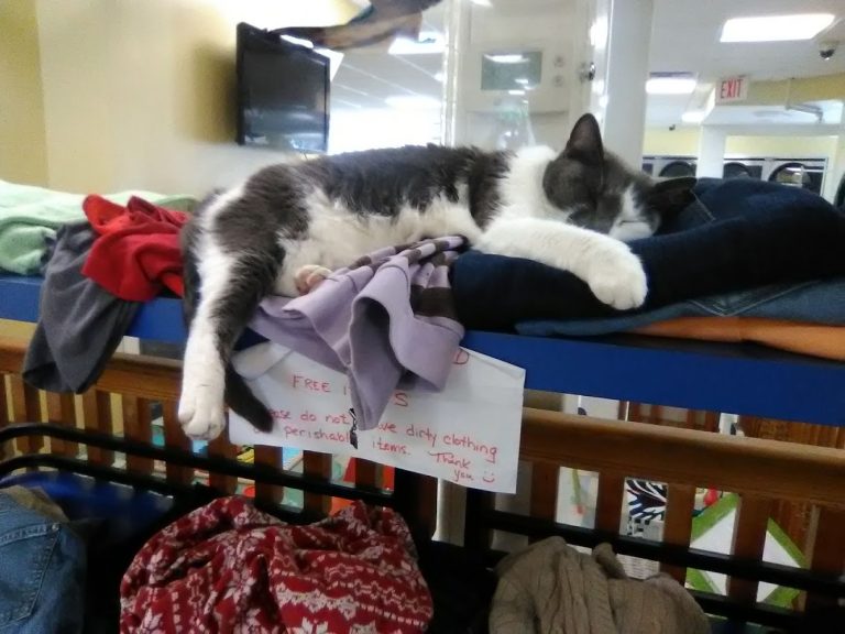 8691 central street laundromat is a laundromat near me in franklin new hampshire 768x576
