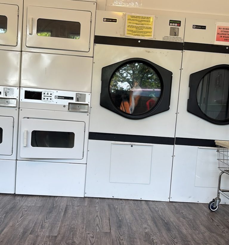 12874 wendells laundromat is a laundromat near me in locust grove virginia 768x820